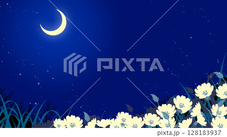 三日月と月見草の花畑の夜の風景イラスト 128183937