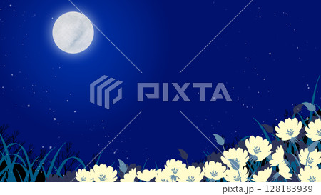 満月と月見草の花畑の夜の風景イラスト 128183939