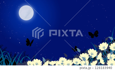 満月の夜、月見草の花畑に蝶が飛ぶイラスト 満月の夜、月見草の花畑に蝶が飛ぶイラスト 128183940