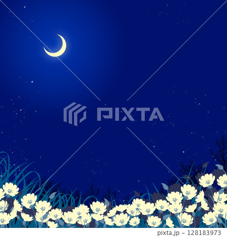満月と月見草 三日月と月見草の花畑の夜の風景イラストのイラスト素材 [128183973