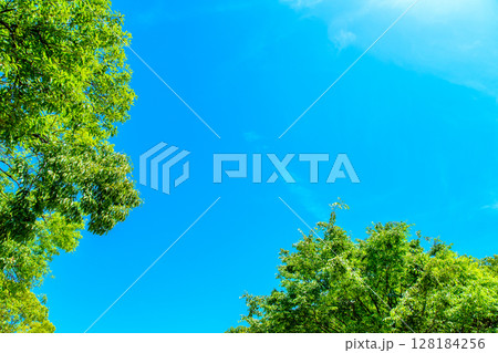 綺麗な青空と新緑の背景素材 フレーム 枠 背景イメージ バックグラウンド 綺麗な青空と新緑の背景素材 フレーム 枠 背景イメージ バックグラウンド 128184256