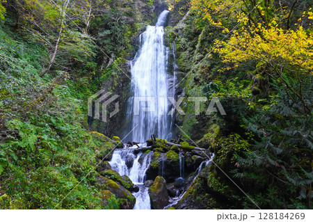 紅葉の回顧の滝 128184269