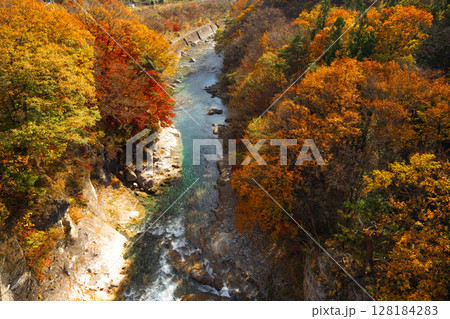 紅葉の渓谷 128184283