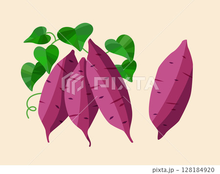 秋の野菜 葉っぱ付きのさつまいものイラスト 秋の野菜 葉っぱ付きのさつまいものイラスト 128184920