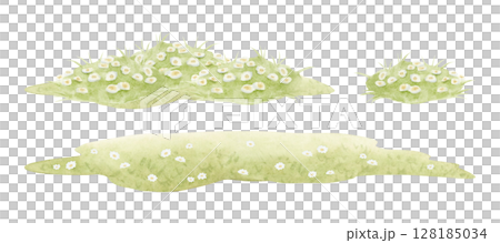 Pastel green grass with white chamomile wildflowers watercolor illustration set isolated on white. Horizontal summer blooming meadows and hills kit. Minimalist rural landscape for countryside designs 128185034