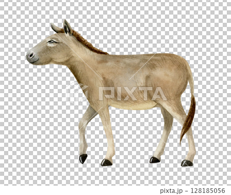 Watercolor walking donkey hand drawn illustration isolated on white. Brown domestic animal from farm in the village. Countryside sketch clip art in realistic style Watercolor walking donkey hand drawn illustration isolated on white. Brown domestic animal from farm in the village. Countryside sketch clip art in realistic style 128185056