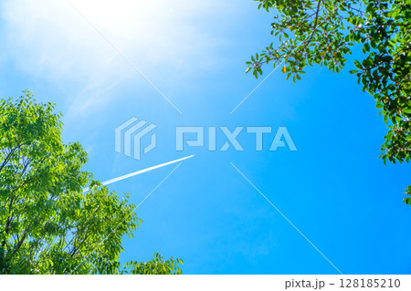 綺麗な青空と新緑の背景素材　飛行機雲　フレーム　枠　背景イメージ　バックグラウンド 128185210