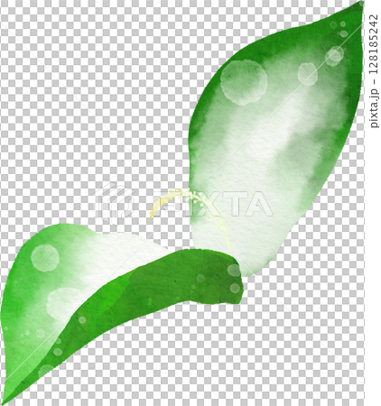 半夏生のイラスト素材 半夏生のイラスト素材 128185242