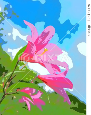 可憐に咲くヒメサユリ（afr20240629091537） 128185370