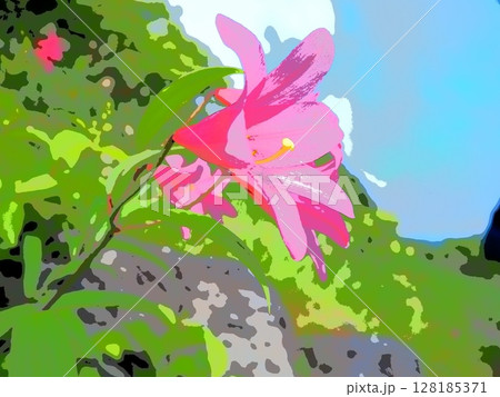 山肌に咲くヒメサユリ（afr20240629091524) 128185371