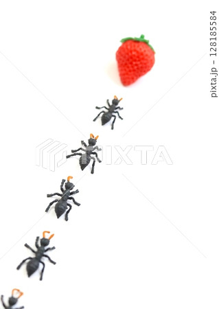 アリの行列 128185584