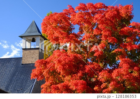 釣鐘と紅葉と青空の風景 【相模原市津久井 11月】 釣鐘と紅葉と青空の風景 【相模原市津久井 11月】 128186353