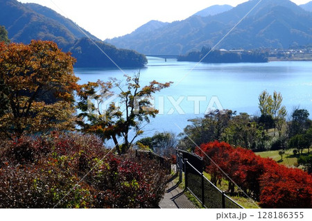 秋の宮ケ瀬湖　【相模原市津久井　11月】 128186355