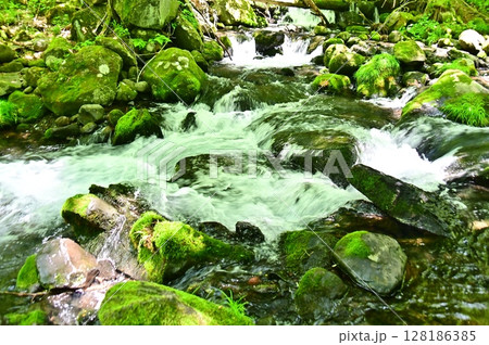 苔むした岩の間を流れる滝の湯川 苔むした岩の間を流れる滝の湯川 128186385