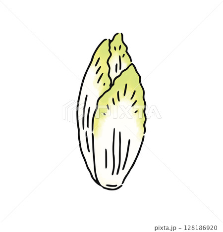 チコリー 128186920