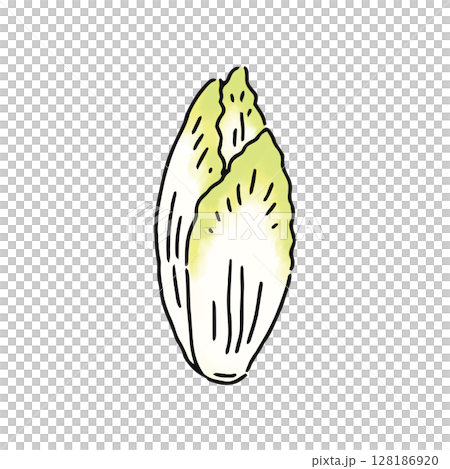 チコリー 128186920