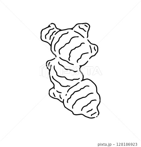 しょうが　線画 128186923