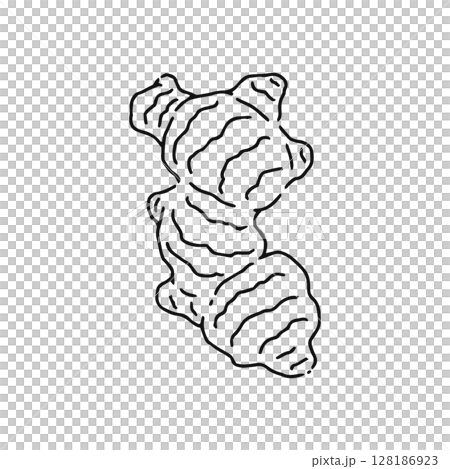 しょうが　線画 128186923