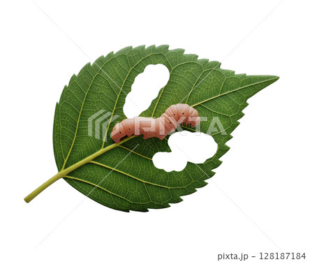 Caterpillar Eating a Green Leaf Minimalist 3D Rendering in a Soft And Smooth Renderer Caterpillar Eating a Green Leaf Minimalist 3D Rendering in a Soft And Smooth Renderer 128187184