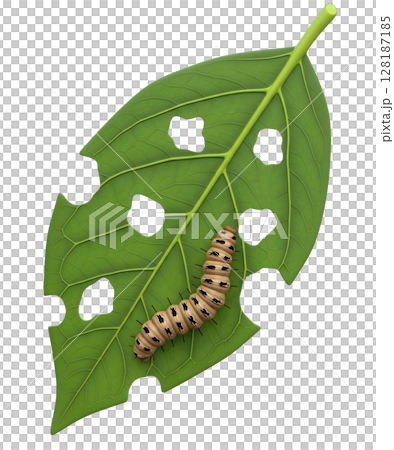 Caterpillar Eating a Green Leaf Minimalist 3D Rendering in a Soft And Smooth Renderer Caterpillar Eating a Green Leaf Minimalist 3D Rendering in a Soft And Smooth Renderer 128187185
