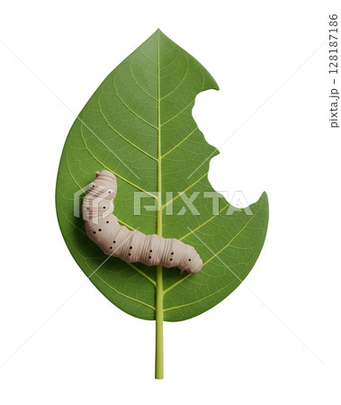 Caterpillar Eating a Green Leaf Minimalist 3D Rendering in a Soft And Smooth Renderer 128187186