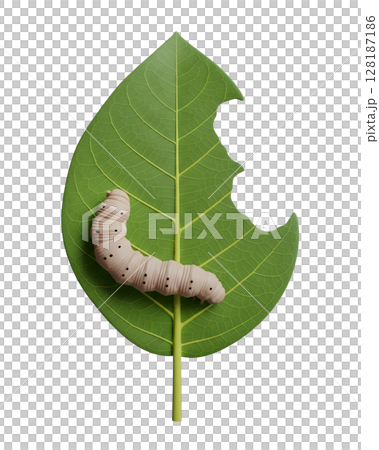 Caterpillar Eating a Green Leaf Minimalist 3D Rendering in a Soft And Smooth Renderer Caterpillar Eating a Green Leaf Minimalist 3D Rendering in a Soft And Smooth Renderer 128187186