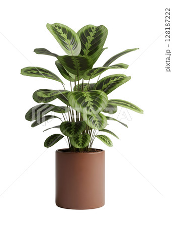 Houseplant in a Pot Minimalist 3D Rendering in a Soft And Smooth Renderer Houseplant in a Pot Minimalist 3D Rendering in a Soft And Smooth Renderer 128187222