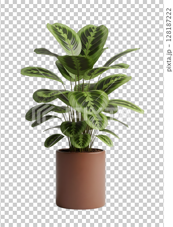 Houseplant in a Pot Minimalist 3D Rendering in a Soft And Smooth Renderer Houseplant in a Pot Minimalist 3D Rendering in a Soft And Smooth Renderer 128187222