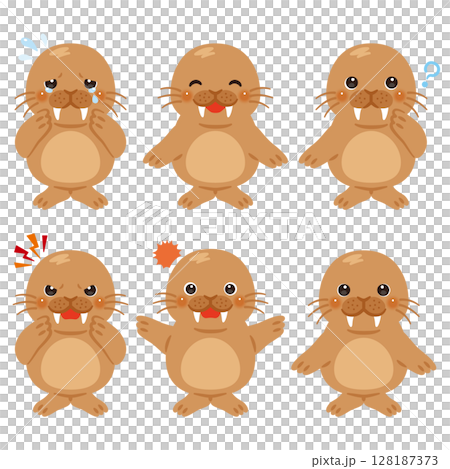 セイウチのキャラクターイラスト　表情セット 128187373
