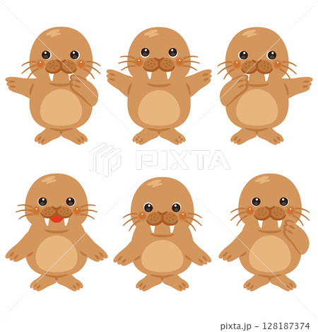 指さしをするセイウチのキャラクターイラストセット 指さしをするセイウチのキャラクターイラストセット 128187374