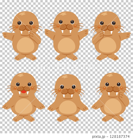 指さしをするセイウチのキャラクターイラストセット 指さしをするセイウチのキャラクターイラストセット 128187374