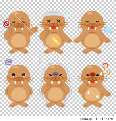 様々な状態のセイウチのキャラクターイラストセット 128187376