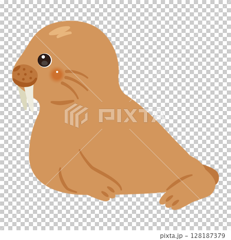 海象的側邊插圖 海象的側邊插圖 128187379