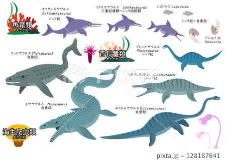 恐竜達のサイズ別 海生爬虫類、魚竜類、首長竜類のセット 恐竜達のサイズ別 海生爬虫類、魚竜類、首長竜類のセット 128187641