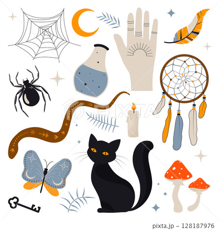 witch collection 128187976