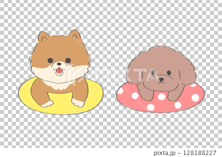 浮き輪で浮かぶポメラニアンとトイプードルの可愛い手書きイラスト 128188227