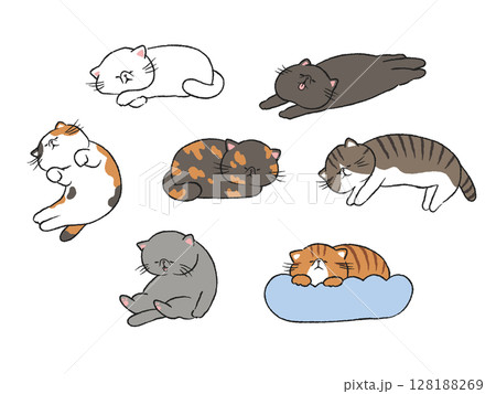 寝ている猫・エキゾチックショートヘア/イラストセット 128188269