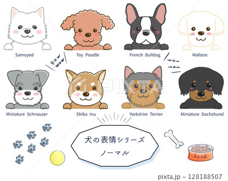 犬種別表情シリーズ　ノーマル 128188507
