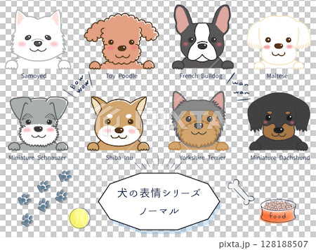 犬種別表情シリーズ　ノーマル 128188507