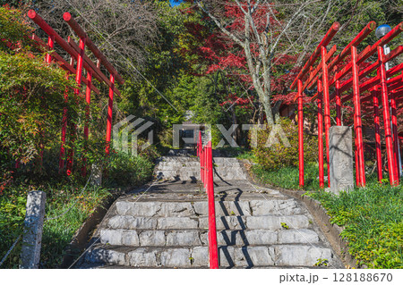 浜松市にある岩水寺の紅葉のある風景(静岡県) 128188670