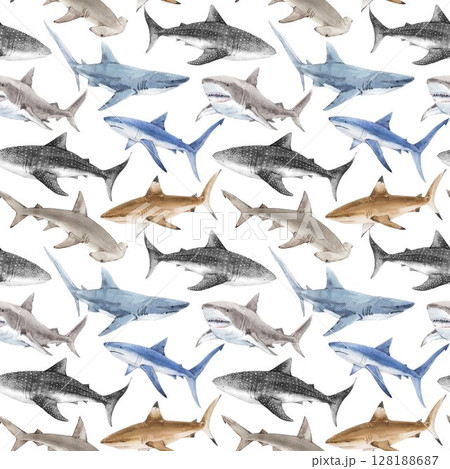 Seamless Watercolor Shark Pattern. Ocean Predator Illustration for Kids and Fabric 128188687