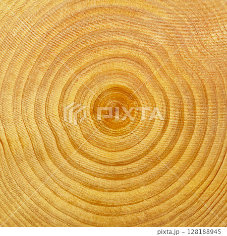 薄茶色のきめ細かい木目の年輪が見える板の正方形の背景画像 薄茶色のきめ細かい木目の年輪が見える板の正方形の背景画像 128188945