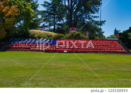 赤白青の花の植え込みで作られたアメリカの旗　ピースアーチパ－ク　アメリカ側（アメリカ*カナダ国境） 128188954
