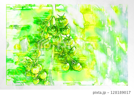 イラスト イラスト風 トマト プチトマト ミニトマト フルーツトマト 手作り ビニールハウス  128189017