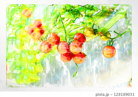 イラスト イラスト風 トマト プチトマト ミニトマト フルーツトマト 手作り ビニールハウス  128189031