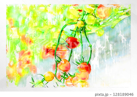 イラスト イラスト風 トマト プチトマト ミニトマト フルーツトマト 手作り ビニールハウス イラスト イラスト風 トマト プチトマト ミニトマト フルーツトマト 手作り ビニールハウス 128189046
