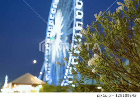 タイ 夜の観覧車と花(バンコク) タイ 夜の観覧車と花(バンコク) 128189242