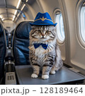 Adorable cat in a stylish pilot hat and bow tie inside an airplane cabin. 128189464
