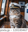 A charming fluffy cat sits inside a boat, wearing a distinctive captain's hat. 128189467