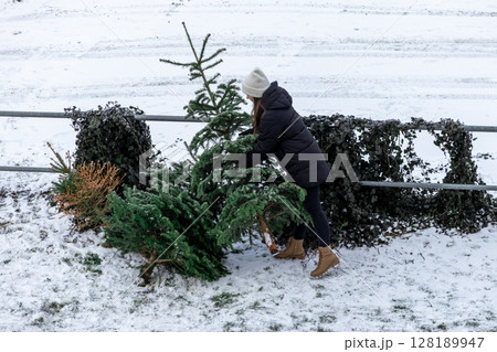 woman placing discarded christmas tree for recycling on snowy winter day, promoting environmental conservation and sustainability 128189947